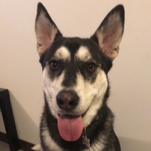 Meet your Posher, Cindy